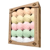 Зефир Ассорти 1 (ваниль дыня клюква крем-брюле яблоко) ФПК ТВ TV 1 кг