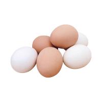 Яйцо куриное белое и рыжее