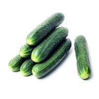 огурцы тсха. огурец изумрудная россыпь f1. огурцы короткоплодные кураж. огурцы казан. огурцы сорт мева.