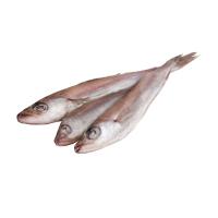 путассу см нр