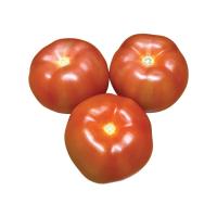 Помидоры тепличные